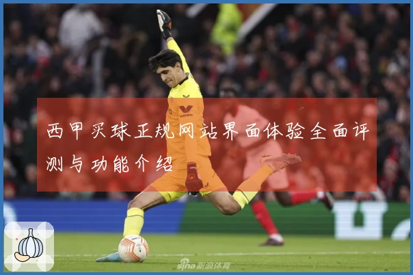 西甲买球正规网站界面体验全面评测与功能介绍