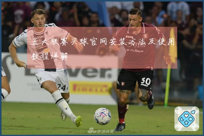 五大联赛买球官网安装方法及使用教程详解