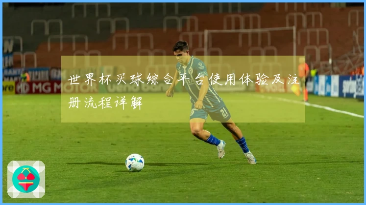 世界杯买球综合平台使用体验及注册流程详解