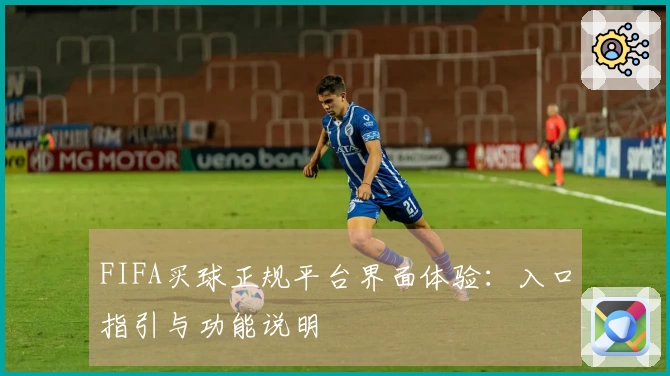 FIFA买球正规平台界面体验：入口指引与功能说明