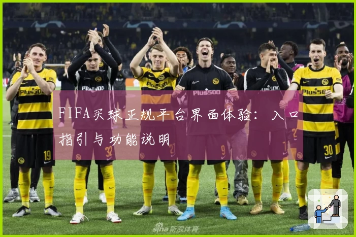 FIFA买球正规平台界面体验：入口指引与功能说明